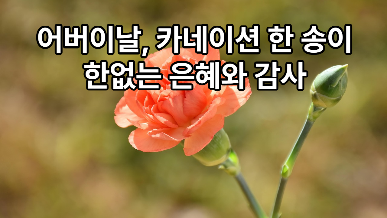 2025년 5월 8일 ’어버이날 경축행사