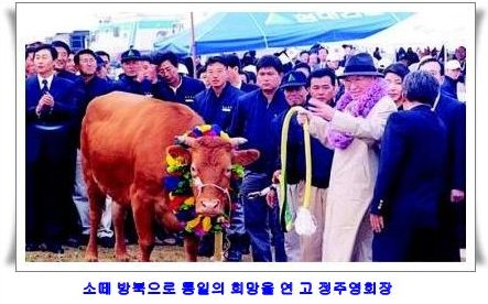 삼대인력 이미지